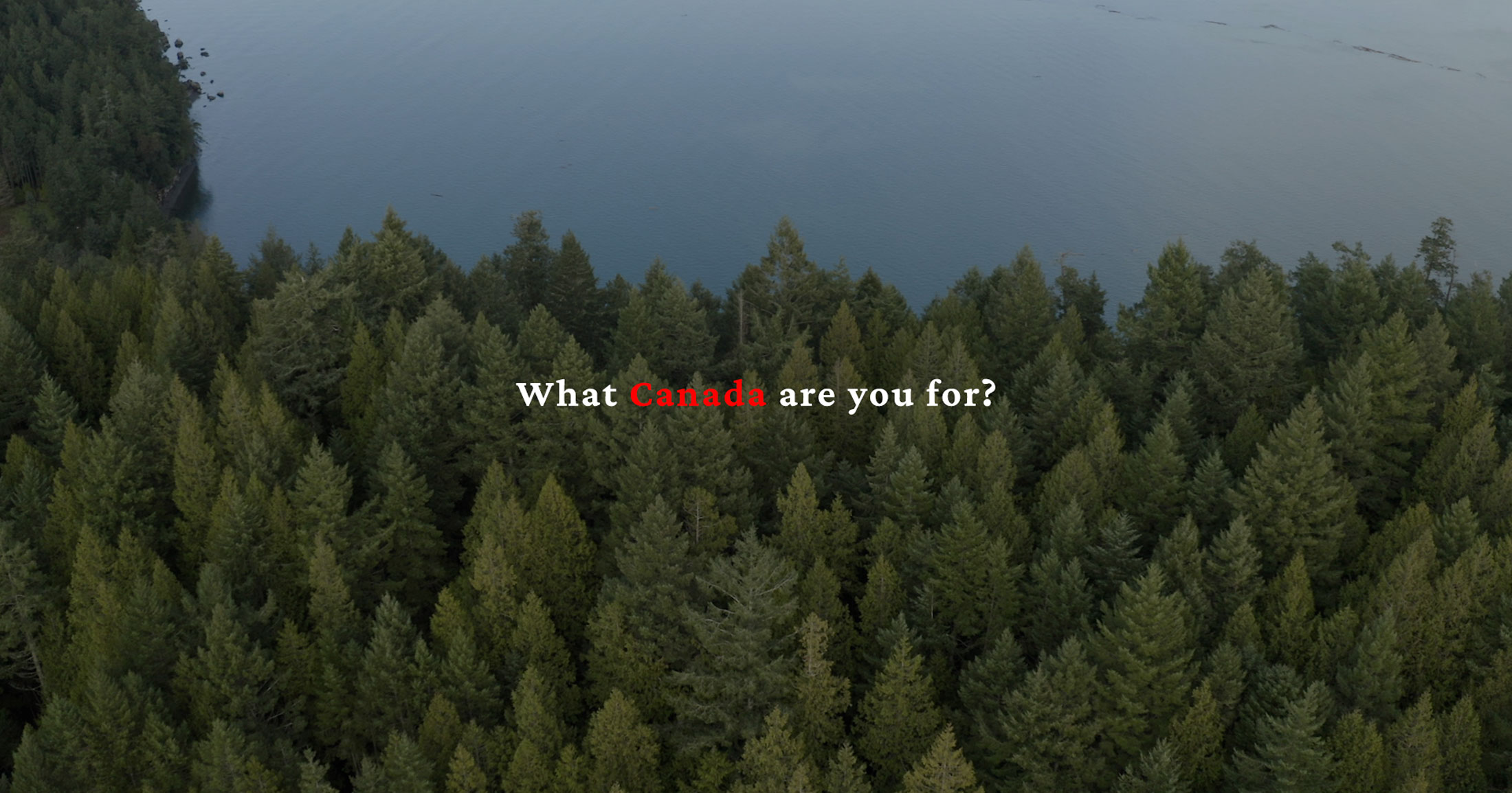 An aerial shot of a large forest that meets the ocean with the text "What Canada are you for?" overtop of the image.