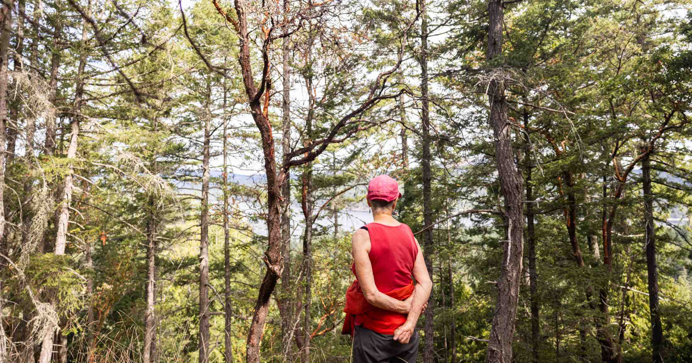 A person in a red hat and red shirt stands with their back to the camera in the forest.