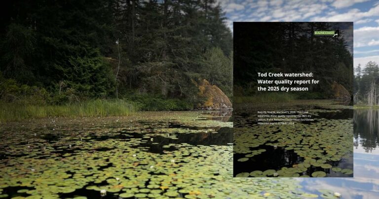 The report cover hovers over the treeline, and cliff, and sky are reflected in the summer lily pads in the Tod Creek watershed.