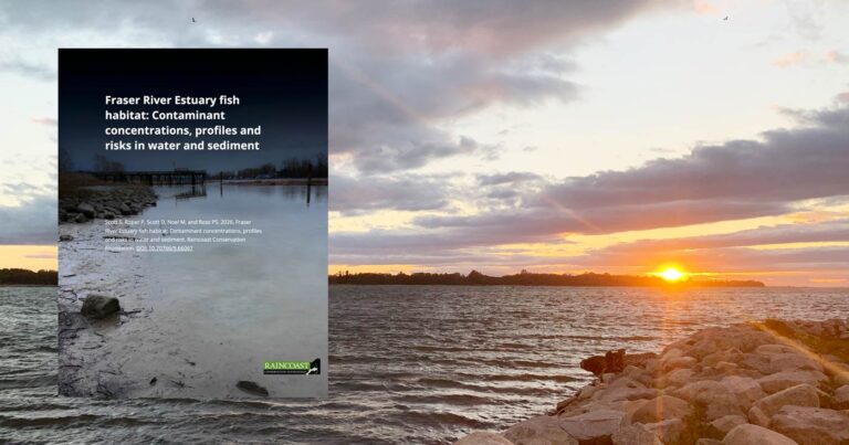 A report cover, "Fraser River Estuary fish habitat: Contaminant concentrations, profiles and risks in water and sediment" floats over top of a sunset on the Fraser Estuary.