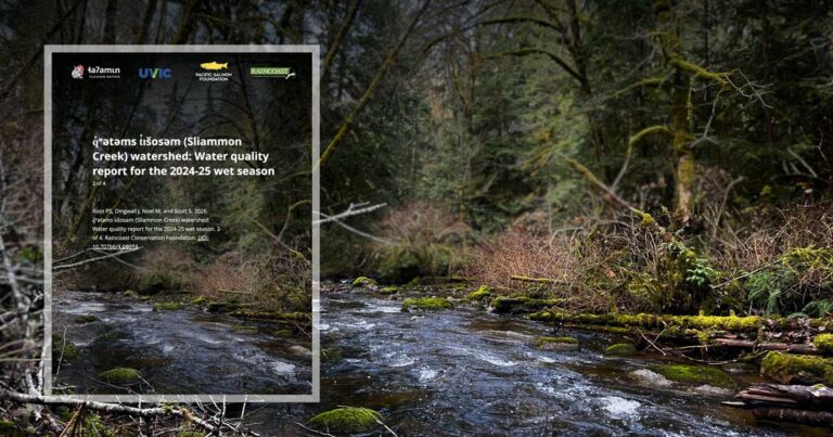 q̓ʷətəms t̓ɩšosəm (Sliammon Creek) watershed: Water quality report for the 2024-25 wet season.