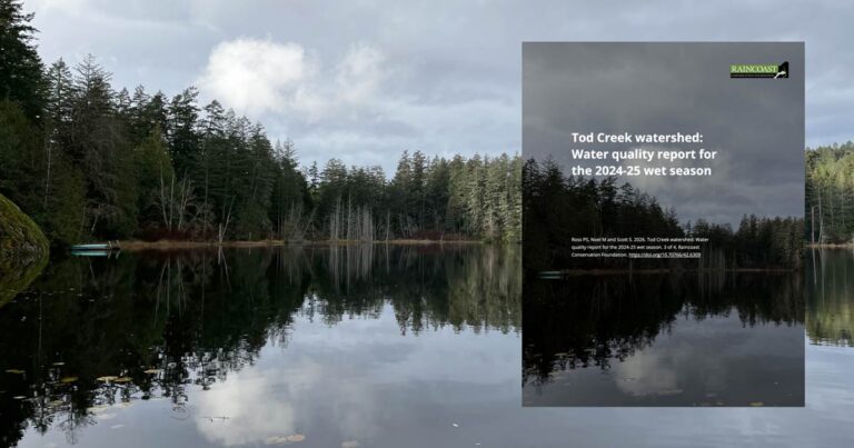 Report cover floats over top of a stunning treeline is reflected in the water on a cloudy day.
