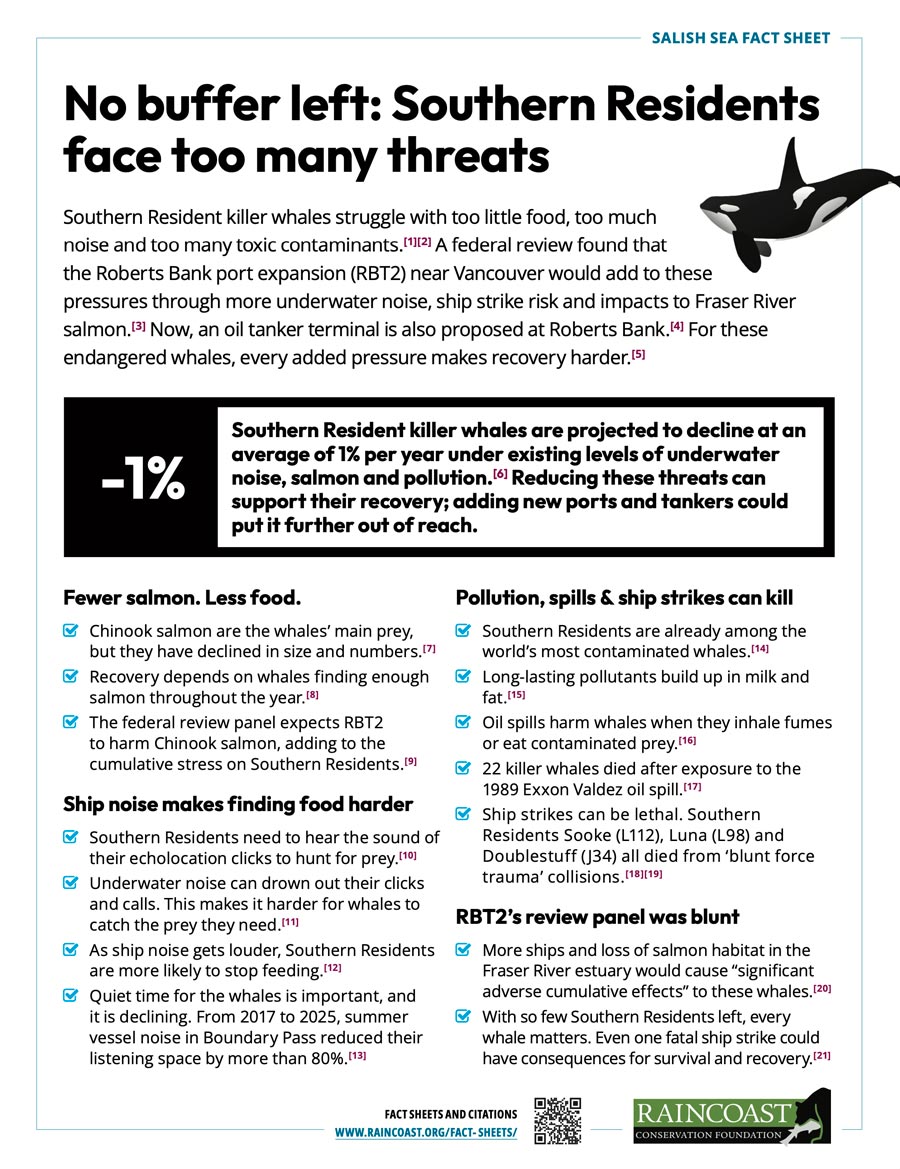 Fact sheet cover image: No buffer left: Southern Residents face too many threats Southern Resident killer whales struggle with too little food, too much noise and too many toxic contaminants.