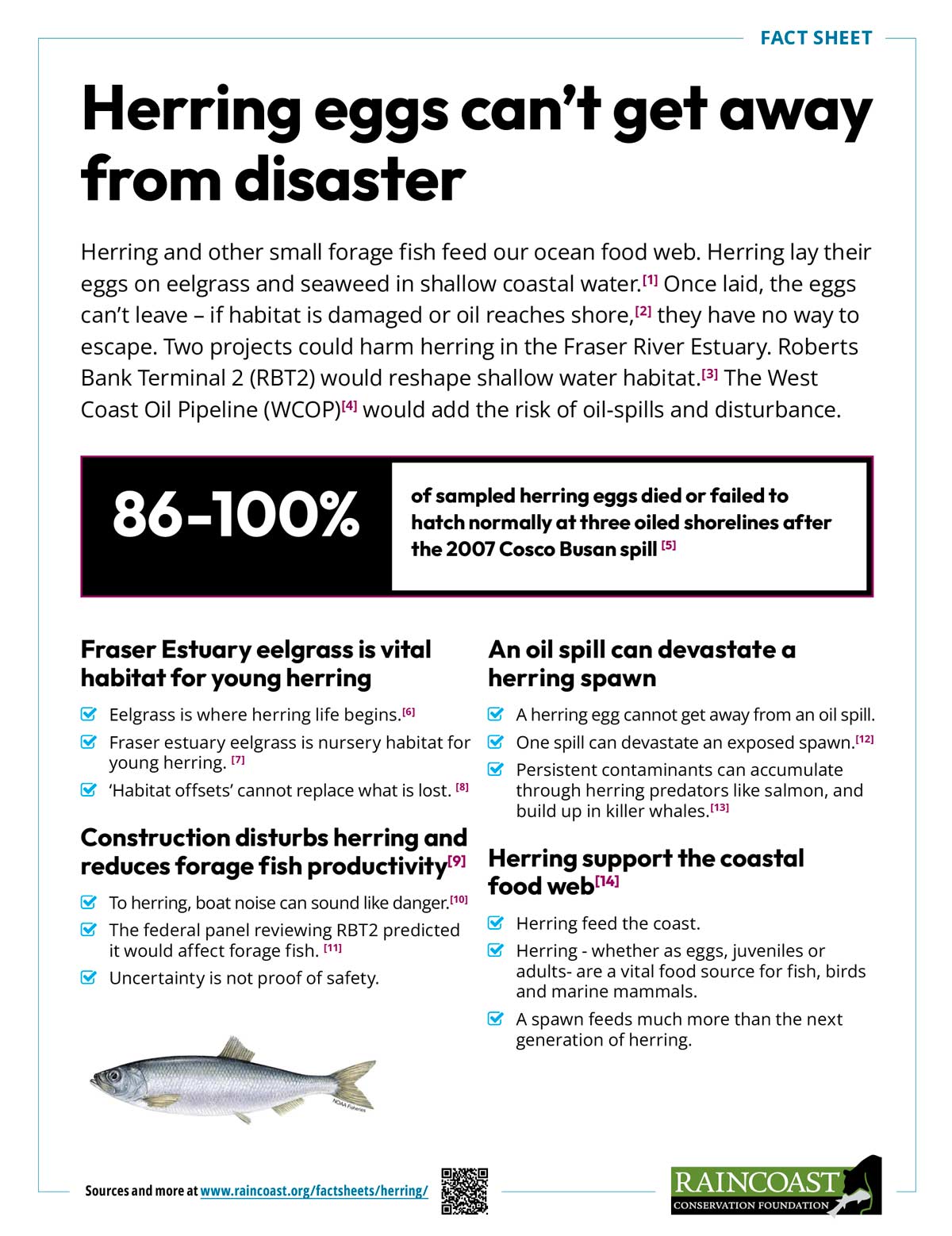 Fact sheet on herring and herring eggs and the impact from the monster port expansion.
