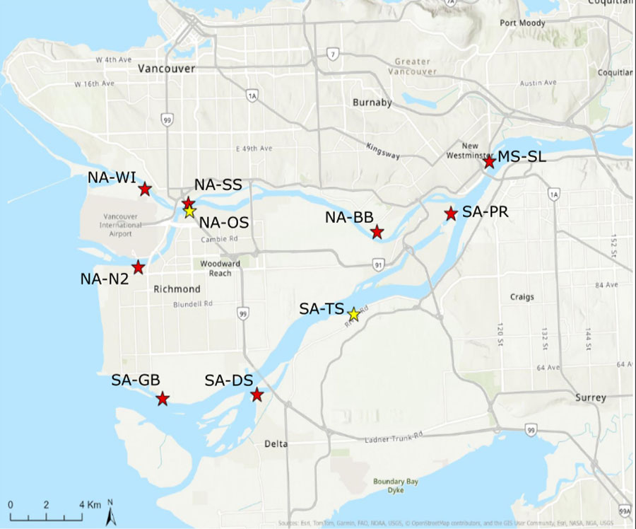 Sampling site: The Fraser River Estuary stretches from New Westminster, through the tidal delta region, and out to  the Strait of Georgia and Salish Sea. 