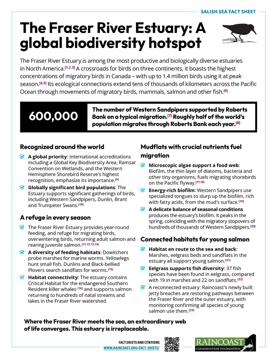 Cover image of the factsheet: The Fraser River Estuary: A global biodiversity hotspot.