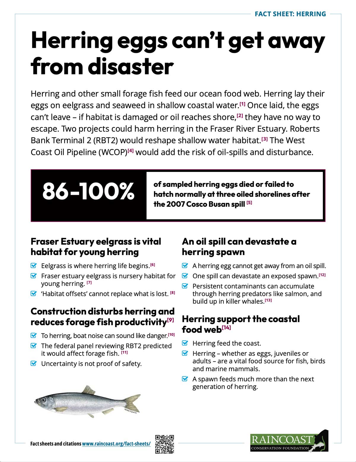 Fact sheet on herring and herring eggs and the impact from the monster port expansion.