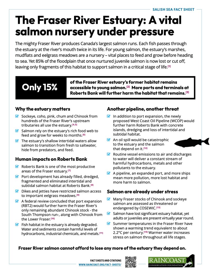 A fact sheet cover image with the title: The Fraser River Estuary: A vital salmon nursery under pressure.