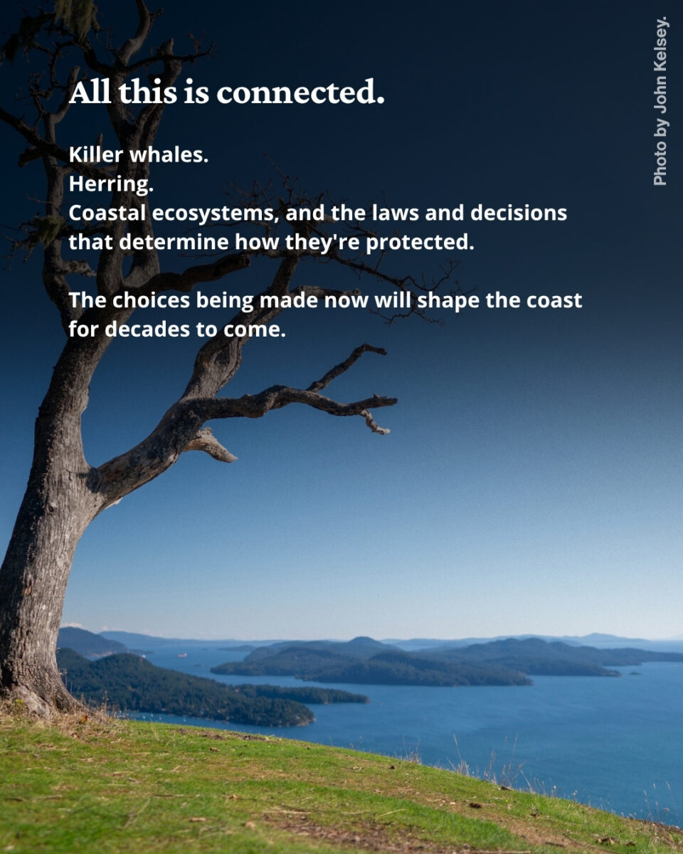 Text over a photo of islands on the ocean taken from a grassy hill with a tree in the foreground.