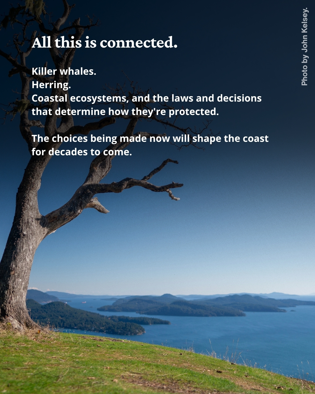 Text over a photo of islands on the ocean taken from a grassy hill with a tree in the foreground.