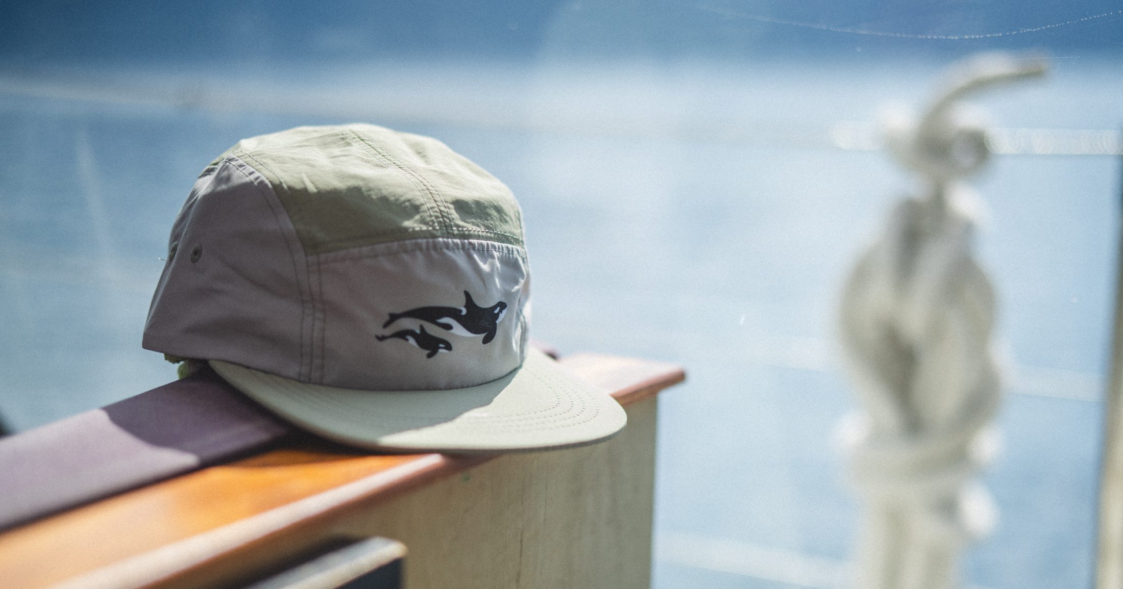 A photo of a sage hat with two orcas on the front, sitting outside in the sun.