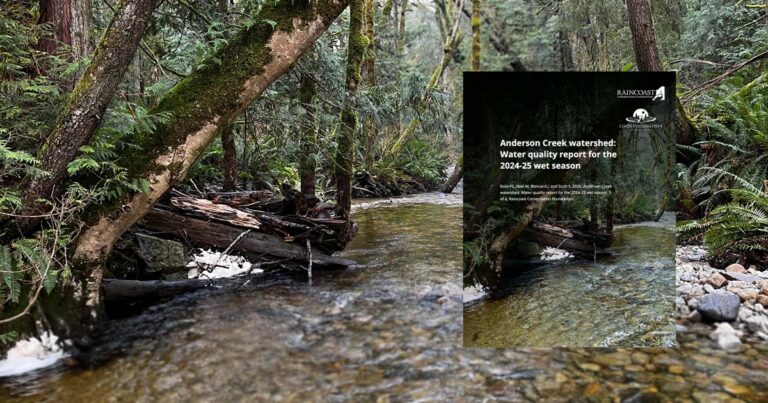 Anderson Creek watershed report cover: Water quality report for the 2024-25 wet season.