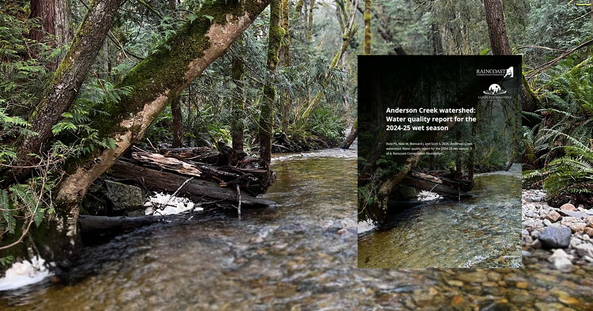 Anderson Creek watershed report cover: Water quality report for the 2024-25 wet season.