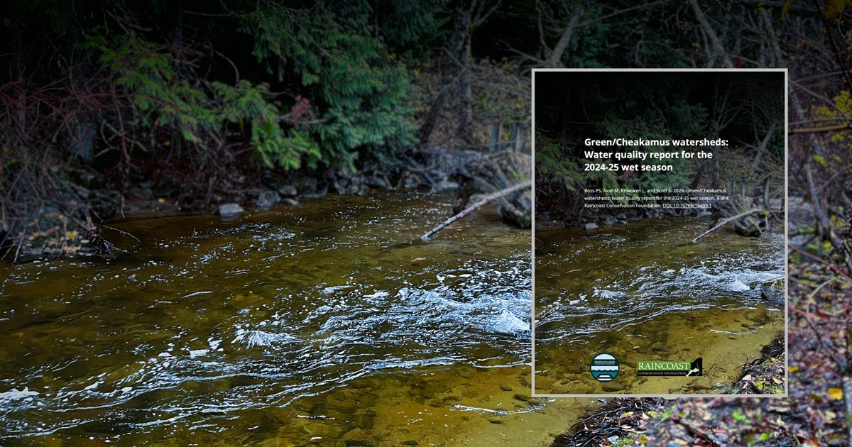 Report cover over top of a river: Green / Cheakamus watersheds: Water quality report for the 2024-25 wet season.
