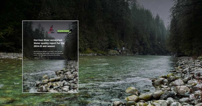 Report cover over the Harrison river: Harrison River watershed: Water quality report for the 2024-25 wet season.
