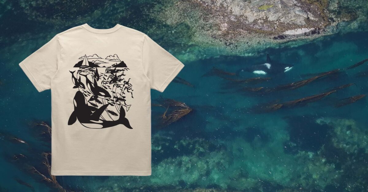 A mockup of a tshirt design is visible over a drone shot of a killer whale swimming through turquoise waters filled with kelp.