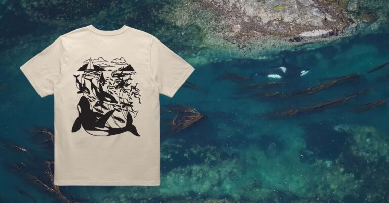 A mockup of a tshirt design is visible over a drone shot of a killer whale swimming through turquoise waters filled with kelp.